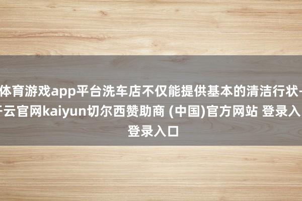 体育游戏app平台洗车店不仅能提供基本的清洁行状-开云官网kaiyun切尔西赞助商 (中国)官方网站 登录入口