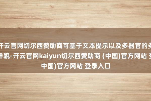 开云官网切尔西赞助商可基于文本提示以及多器官的多种成像样貌-开云官网kaiyun切尔西赞助商 (中国)官方网站 登录入口