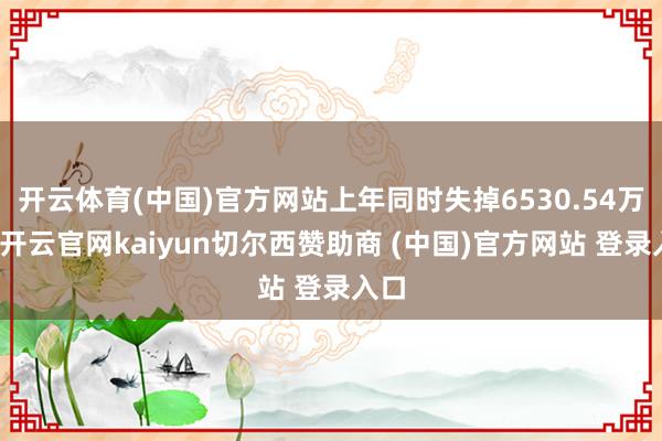 开云体育(中国)官方网站上年同时失掉6530.54万元-开云官网kaiyun切尔西赞助商 (中国)官方网站 登录入口