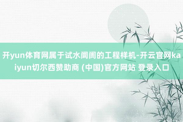 开yun体育网属于试水阛阓的工程样机-开云官网kaiyun切尔西赞助商 (中国)官方网站 登录入口
