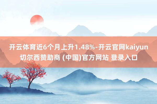 开云体育近6个月上升1.48%-开云官网kaiyun切尔西赞助商 (中国)官方网站 登录入口