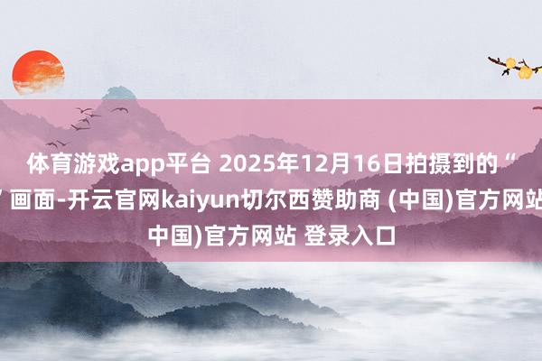 体育游戏app平台 2025年12月16日拍摄到的“三豹同框”画面-开云官网kaiyun切尔西赞助商 (中国)官方网站 登录入口